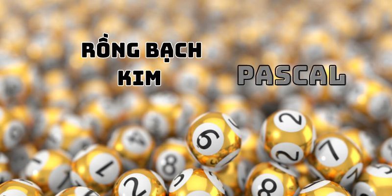 Xây dựng dàn đề rồng bạch kim dựa vào Pascal